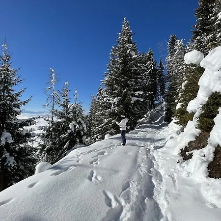 One-bedroom * Zirkitz