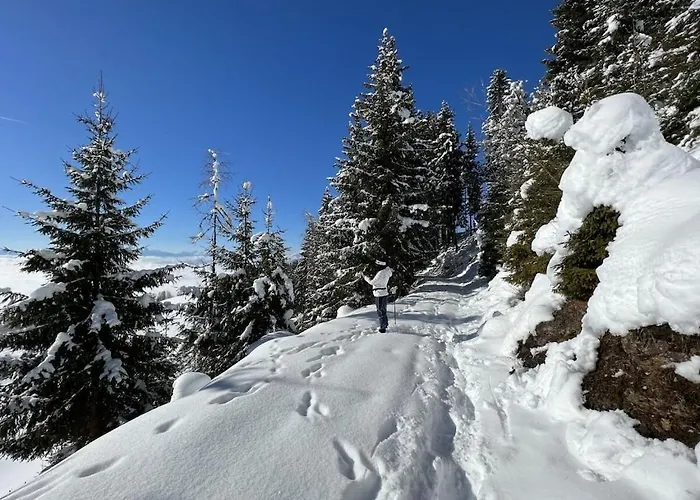 One-bedroom * Zirkitz