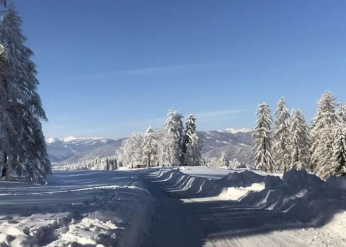 One-bedroom Feriehus *